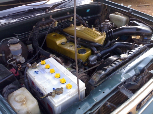 ขาย มังกรทอง ปี 38 เครื่องดี คัทชีสวย ขับดี ขี่ได้ทั่วไทย