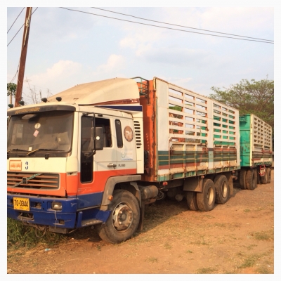 ขายด่วน  รถสิบล้อ  พ่วงแม่-ลูก ไม่ดัมพ์  วอลโว่  ใส่เครื่องแดวู 360 แรง  พร้อมใช้งานเอกสารพร้อม