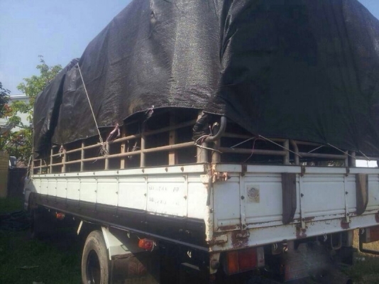 รถอีซูซุ 6 ล้อ รั้ว NQR 150 แรงม้า. ปี 51 สนใจติดต่อ 081 - 6079515 รถอีซูซุ 6 ล้อ รั้ว NQR 150 แรงม้า. ปี 51 สนใจติดต่อ 081 - 6079515