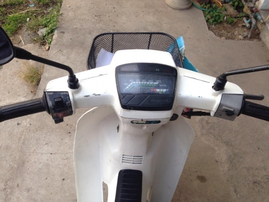 ดรีมตูดเป็ด ดรีมตูดเป็ด