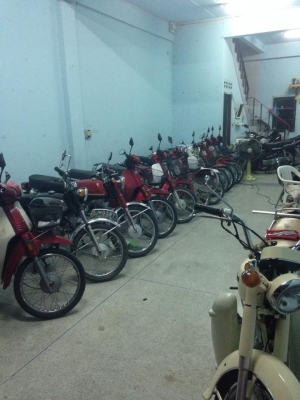 ดรีมตูดเป็ด ดรีมตูดเป็ด