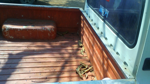 รถกระบะ Mazda 1000 รถพร้อมใช้งาน มีทะเบียนครบ พร้อมชุดโอน รถราคาประหยัด ชอบที่ราคาเท่าไรต่อรองกันได้ครับ