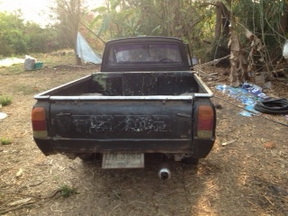 ขาย มาดด้าแฟมิลี่