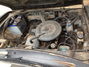 ขาย มาดด้าแฟมิลี่