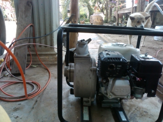 ขายเครืองสูบน้ำ