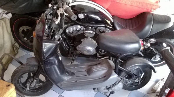 ขาย choinori ครับ