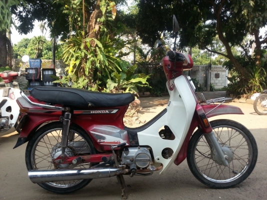 ดรีมแดงทะเบียนโอน