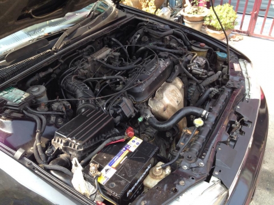 ขายครับ accord ตาเพชร ปี91 เครื่องหัวฉีด 2.0 เเรงๆ ประหยัด สุดๆ ตัวท็อป สุดๆ ไฟฟ้าทั้งคัน กระจก 4บานไฟฟ้า มองข้าง ไฟฟ้า ใช้ได้หมด เเอรหยาว เเอร์ ออโต้ ใช้ได้ปกติ ปรับบลงเท้า ไล่ฝ้า ได้หมด เพลงหนวกหูเลย สีพอได้ ภายในโคตรๆๆๆๆสวย เเม็กเเท้ สวยๆ เอาไปเติมน้ำม