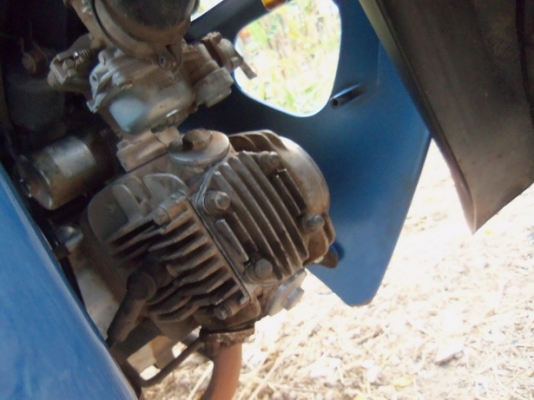 ขายดรีม100สต๊าดมือ(ติดจองแล้ว) ขายดรีม100สต๊าดมือ(ติดจองแล้ว)