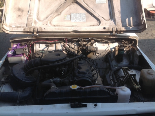 คาริเบียนตู้ปลา