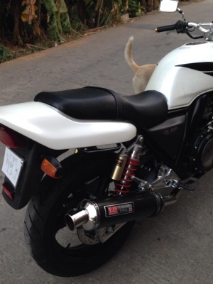ขายCB400 ปี93 อินวอยซ์+สพม แท้ ๆ ขายCB400 ปี93 อินวอยซ์+สพม แท้ ๆ