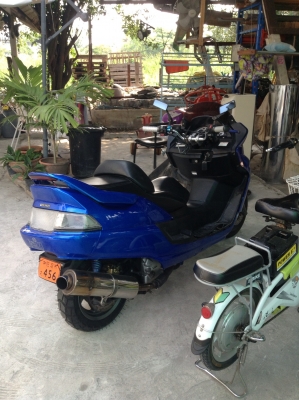 ขายYamaha majesty250