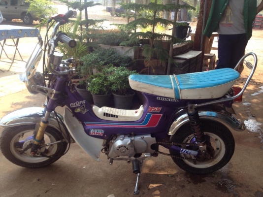 ขาย ชาลี เทพๆครับ ของแต่งมีเยอะ ราคาไม่แพง