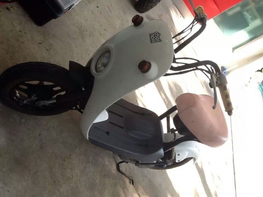 รถไฟฟ้า มินิ