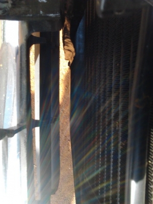 ขาย กระบะแค็ป มังกรทองโฉม แป๊ะยิ้ม ปี38/95 ห้างแท้ เดิมๆ รถบาง เครื่องแน่น เสียงนิ่ม ช่วงล่างดี ไม่ส่ายไม่เลื้อย ไม่หอน ภายในสวย แอร์เย็น พ.พาวเวอร์ กระบะลอนสวย ยางดี ใช้งานน้อย แฟนพันธ์แท้ไม่ควรพลาด !!! ***ขายแล้วครับ ขอบคุณ Truck2hand