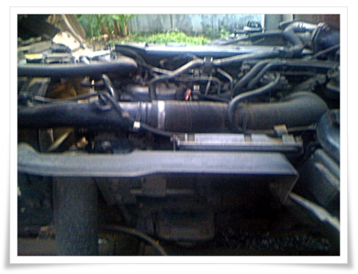 ซื้อขาบแล้ว ซื้อขาบแล้ว