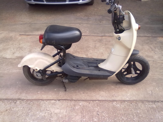 ขาย zx  โชอิโนริ