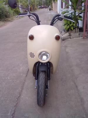 ขาย zx  โชอิโนริ