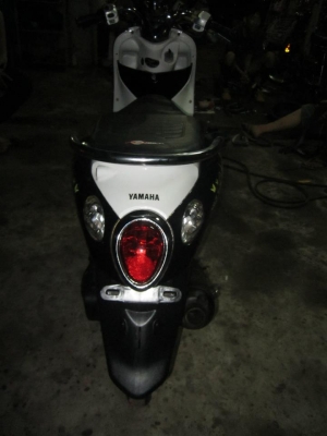 ขาย ฟีโน่แปลง  ลูกโซ ชัก5   15000พร้อมส่ง