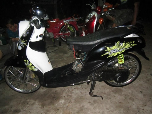 ขาย ฟีโน่แปลง  ลูกโซ ชัก5   15000พร้อมส่ง