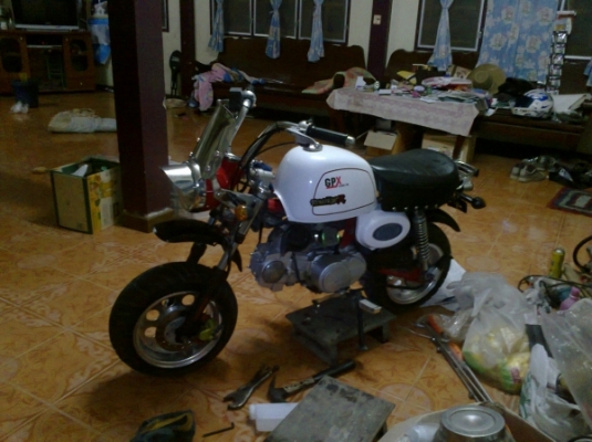 กอลิล่า 125 แต่งขายถูกๆๆสนใจ081-2816793