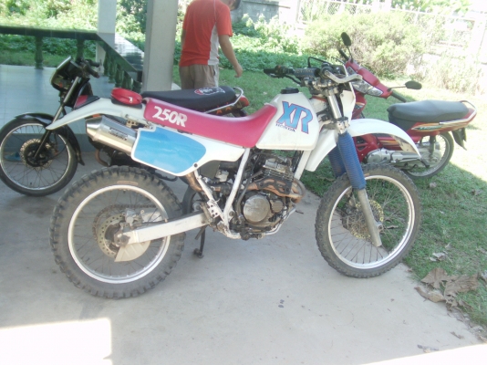 ขายgpx-xjr 50d