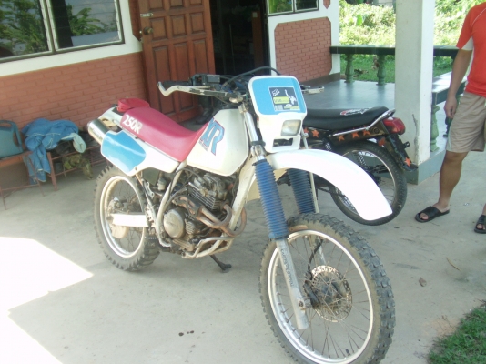 ขายgpx-xjr 50d