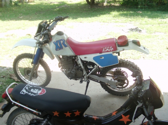 ขายgpx-xjr 50d