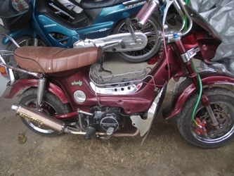 //// ขายชาลีแต่งสวยเครื่องดรีม ////