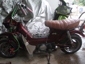 //// ขายชาลีแต่งสวยเครื่องดรีม ////