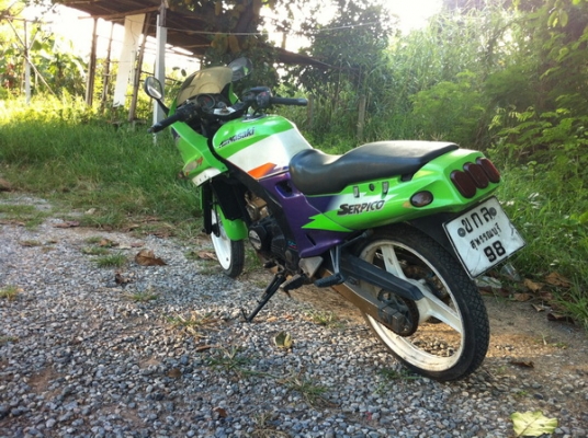 ขาย SERPICO SE 98 ขาย SERPICO SE 98