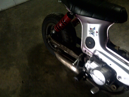 ประกาศขายชาลีของลูกพี่ผม ประกาศขายชาลีของลูกพี่ผม