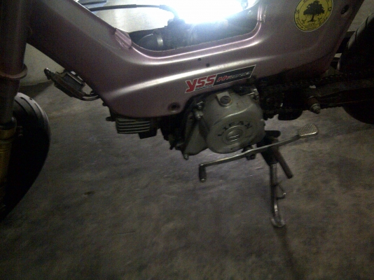 ประกาศขายชาลีของลูกพี่ผม ประกาศขายชาลีของลูกพี่ผม