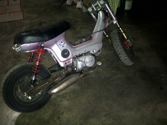 ประกาศขายชาลีของลูกพี่ผม