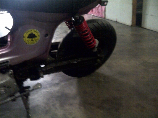 ประกาศขายชาลีของลูกพี่ผม ประกาศขายชาลีของลูกพี่ผม