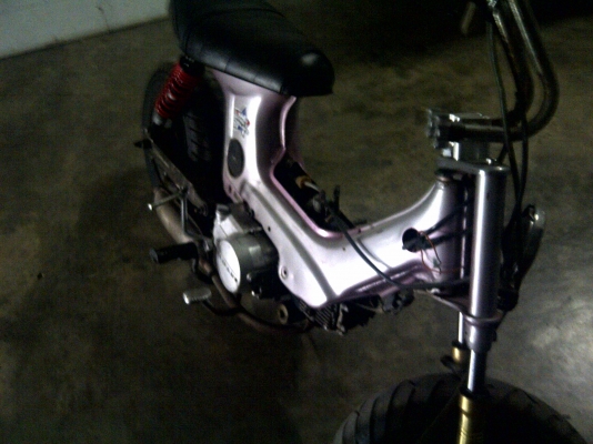 ประกาศขายชาลีของลูกพี่ผม ประกาศขายชาลีของลูกพี่ผม