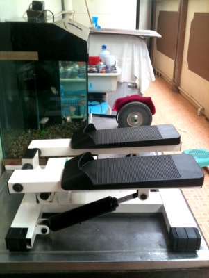 ขายที่เหยียบออก ขายที่เหยียบออก