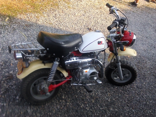 รถมอเตอร์ไซค์มังกี้ กอลิล่า 110 cc. ขายต่อถูกๆ