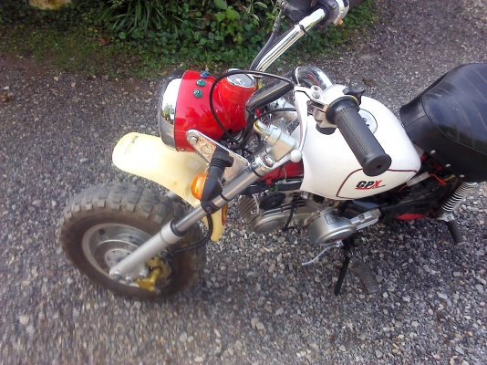 รถมอเตอร์ไซค์มังกี้ กอลิล่า 110 cc. ขายต่อถูกๆ
