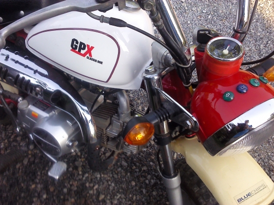 รถมอเตอร์ไซค์มังกี้ กอลิล่า 110 cc. ขายต่อถูกๆ