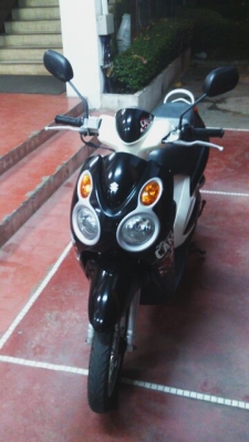 Jelato ปี 2011 ถูกๆ ต่อลองได้ Jelato ปี 2011 ถูกๆ ต่อลองได้