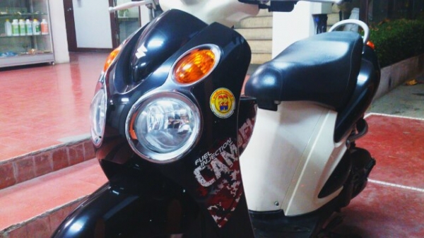 Jelato ปี 2011 ถูกๆ ต่อลองได้