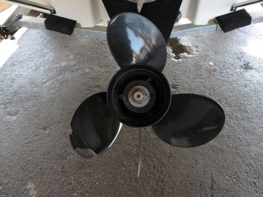 ++ขายเรือมือสอง BAYLINER 175 ปี 2012 สวยมาก ถูกจริง++ ++ขายเรือมือสอง BAYLINER 175 ปี 2012 สวยมาก ถูกจริง++