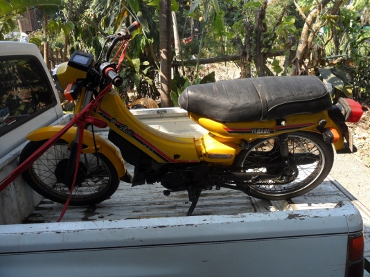 เบล!รุ่นแรกสีเหลือง3800บาททะเบียนมี! เบล!รุ่นแรกสีเหลือง3800บาททะเบียนมี!