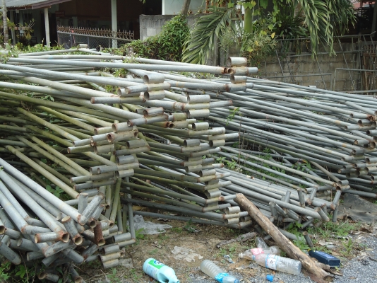 ต้องการขายเต็นท์เช่า ต้องการขายเต็นท์เช่า