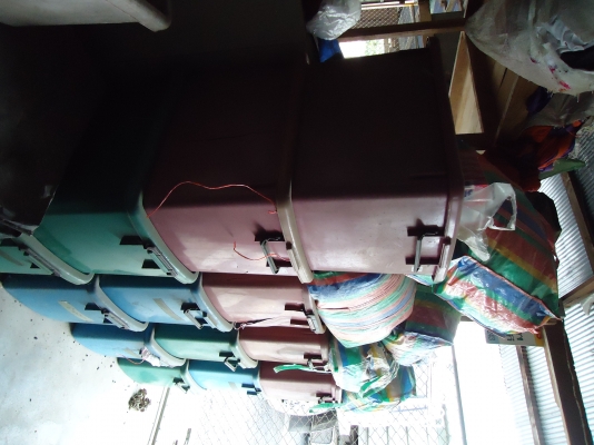 ต้องการขายเต็นท์เช่า ต้องการขายเต็นท์เช่า