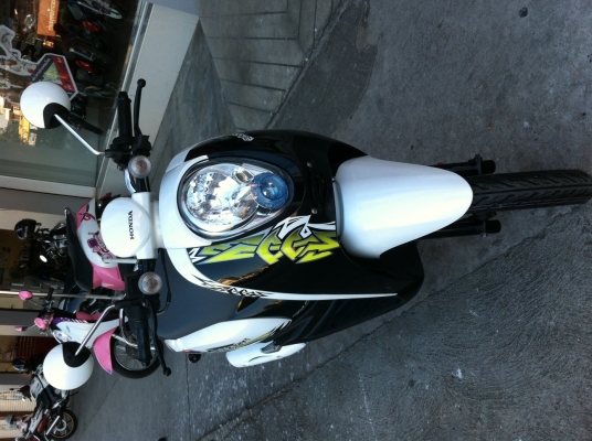 Scoopy i สภาพป้ายแดง