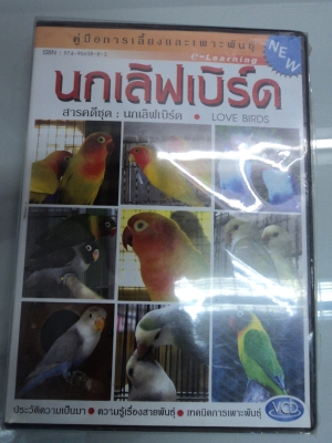 มาใหม่ VCD  การเลี้ยงนกแก้ว+นกเลิฟเบิร์ด สนใจติดต่อโทร.081-005-8785