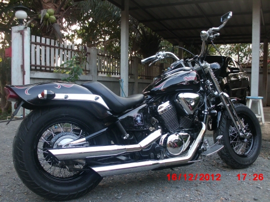 ขาย STEED SPRINGER แต่ง CROSSBONE สวยๆ อินวอยส์ สพม ขาย STEED SPRINGER แต่ง CROSSBONE สวยๆ อินวอยส์ สพม