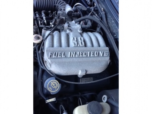 Ford Mustang รถแรง ขายถูก ๆ Ford Mustang รถแรง ขายถูก ๆ